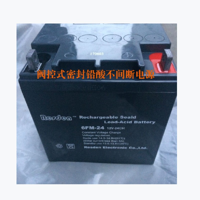 雷斯顿蓄电池6FM-24阀控密封12V24AH直流屏 消防 UPS 储能电源