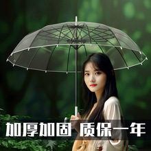 16骨透明雨伞长柄伞大号双人女白色网红雨伞自动结实加大logo