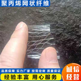 源头厂家直发聚丙烯网状纤维  沥青砂浆混凝土增强用聚丙烯纤维网