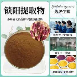 锁阳提取物20:1水溶性锁阳粉食品级保健品原料 锁阳原粉 现货包邮