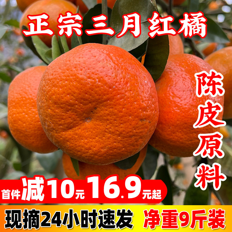 万州三月红桔川红橘小柑新鲜陈皮孕妇水果大红袍重庆老树柑子