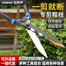 ๦܈@ֈ@ˇƺ޼hʾGh􌣘I֦@քӴ