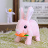 Pink carrot rabbit