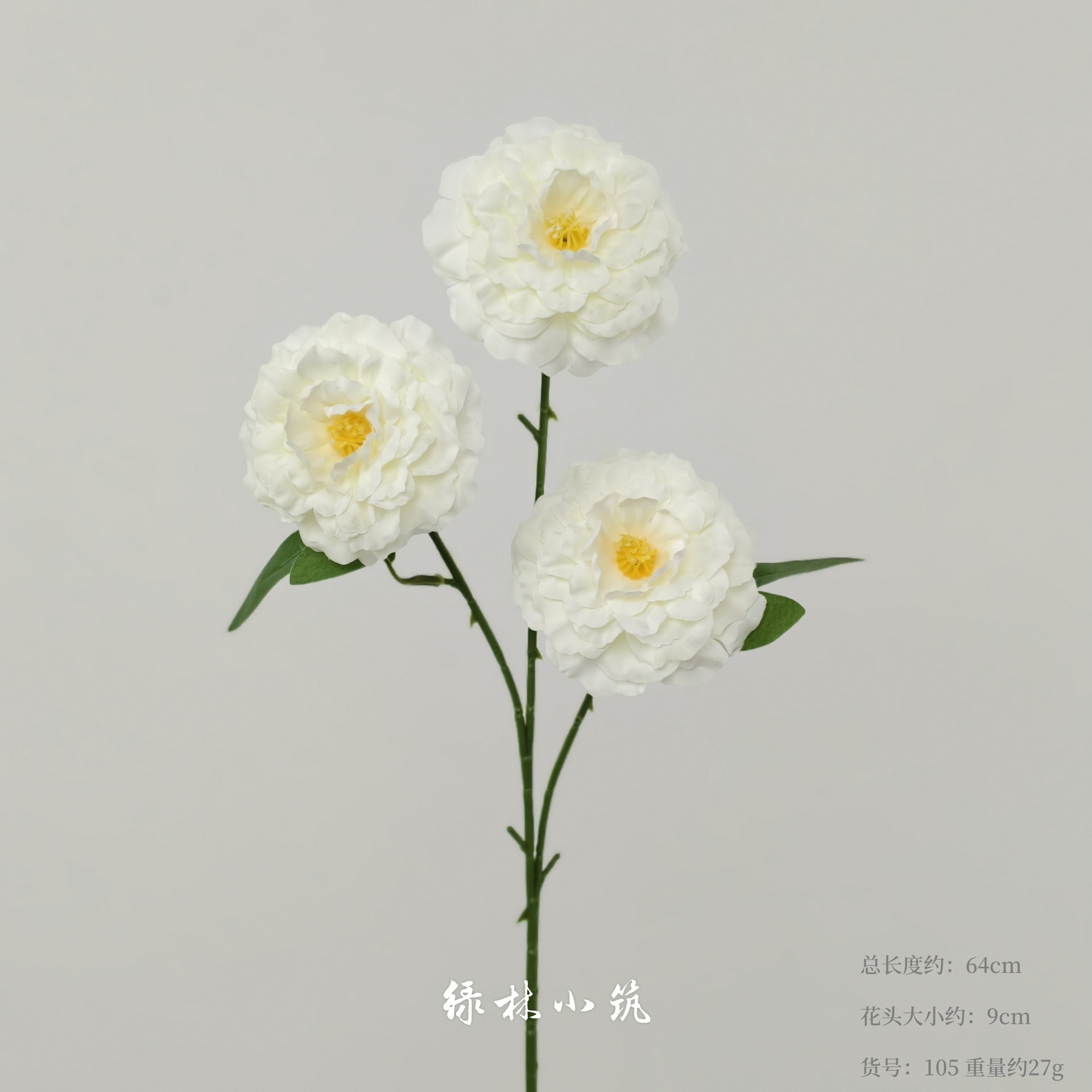품목번호 105-Xiao Li Jin