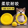 Toy, frisbee, bouncy ball for training, pet