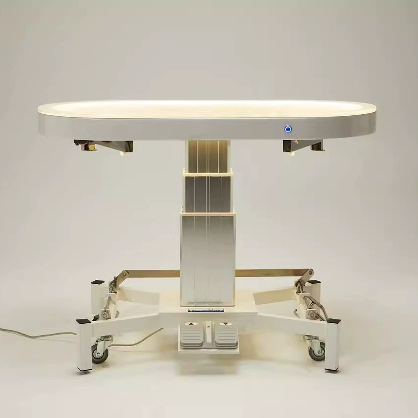 Meimei светящийся стол для соревнований по красоте домашних животных подъемный стол для домашних животных стол для красоты Электрический Регулируемый Твердый