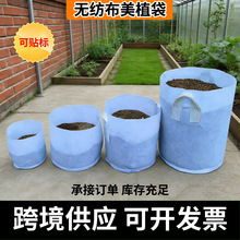 �Ӻ�o������ֲ�����Ԙ���Nֲ����ɫ͸�������������ɴ��l���l