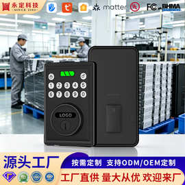源头批发呆锁  按键智能呆锁WiFi 蓝牙双连接批量定制 智能密码锁