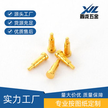 pogopin����������O���B�������^���쾀�ᘜyԇ̽ᘳ���