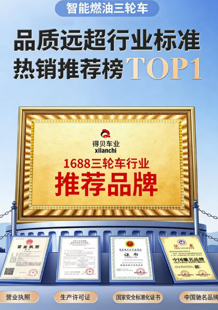 Best-Selling Three-Wheeled Fuel-Powered Dump Motorcycle for Home Use, Freight, and Agricultural Purposes with Zongshen Power Gasoline Engine