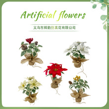 ����ʥ����ľ׮ ����ѷʥ����װ������ٻ�Ҷ�ӽ����ɶԷ�Χ����