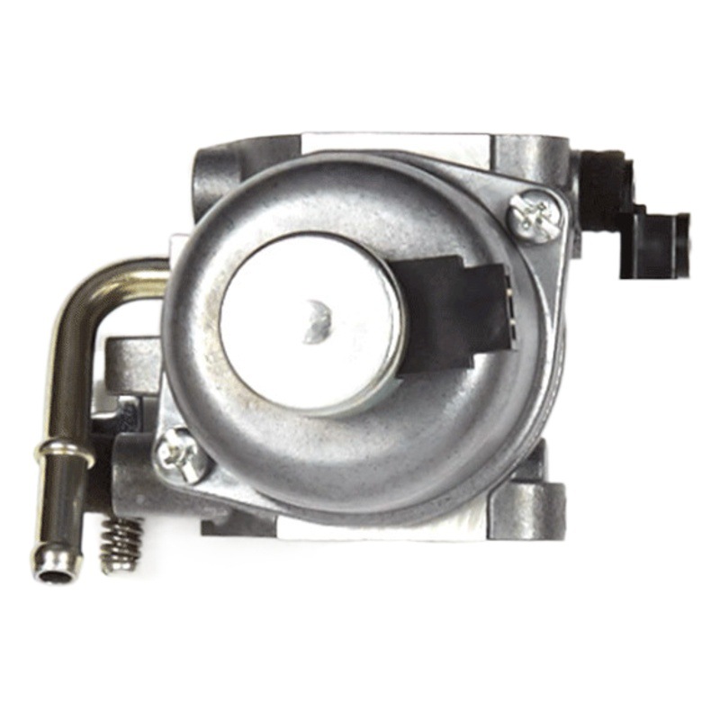 Accesorios de motosierra 401577 carburador para Briggs & Stratton 699807