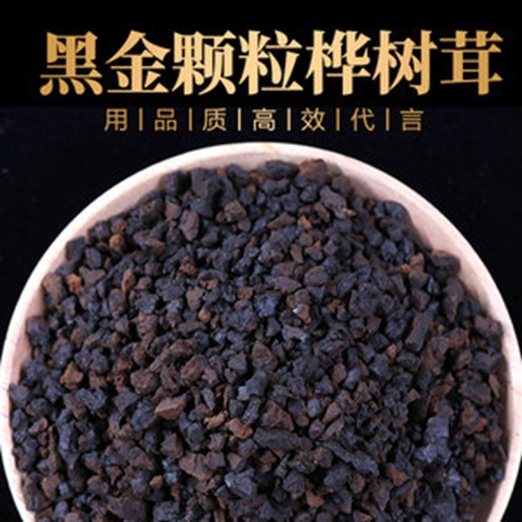 Chaga 500 グラム長白山野生ブラックゴールド顆粒食品健康送料無料包装バルク大量卸売栄養|undefined