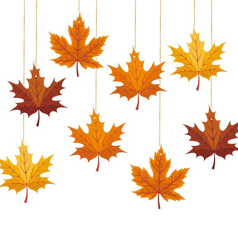 Amazon Autumn Birthday Party Decoration Maple Leaf Hangers Thanksgiving Autumn Decoration Maple Leaf Pendant