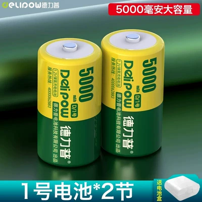 Delip No.1/D rechargeable battery Hibrid akkumulyator batareyaları - no1-rechargeable-battery-5000mah-section-2