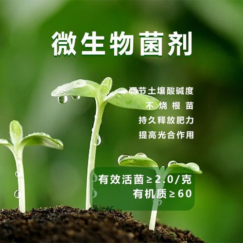 Composite microbial inoculant wholesale new foliar fertilizer withered anthrax leaf insect leaf general antibacterial special