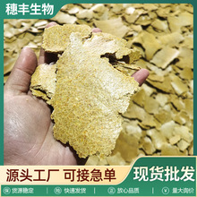 Sҹ SЙCʴϷNֲЙC~C