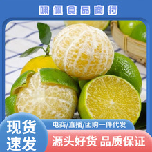 广西武鸣皇帝柑当季柑橘整件包邮当季水果皇帝柑一件代发