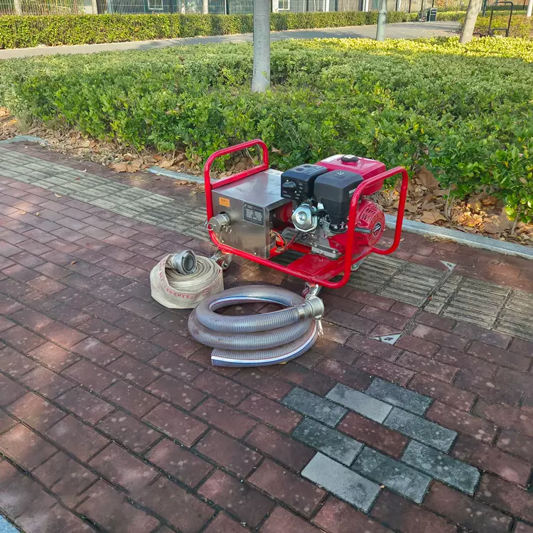 便携式消防输转泵泡沫输转泵多用途消防灭火设备输转泵