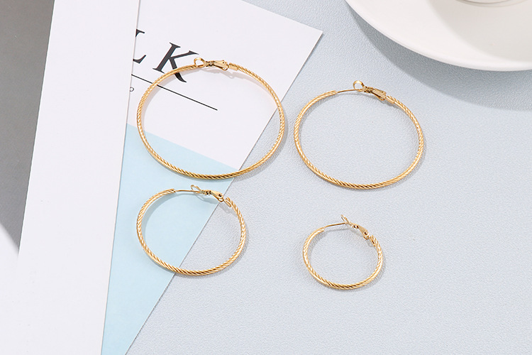 Fashion Geometric Stainless Steel 18K Gold Plated Earrings display picture 5