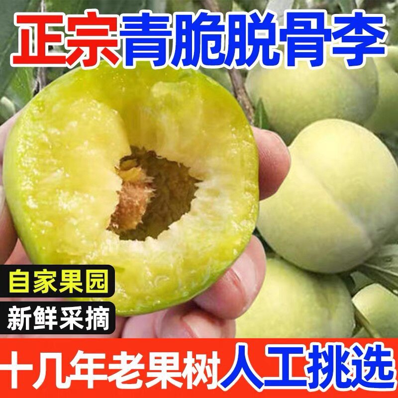Authentic Crispy Seedless Green Plums 1/ 1.5kg Seasonal Fresh Sour Crispy Plums Seasonal Fruit Non-Honeyed Plums