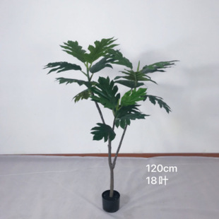 ���������٘����Գ���Gֲ�����b���ֲ������