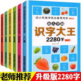 幼儿学前识字大王2280字全6册幼小衔接学前练字帖识字启蒙游戏书