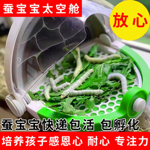 �Q�������w�Q���Q�ьW���B�Q���b���Q�Q�N���Q�g�g�����rɣ�~