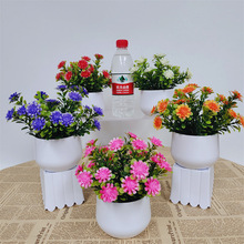 �羳���N���滨С�辰 ���ϻ��ٻ����Ԕ[�� �Ҿ�����Gֲ�����b�