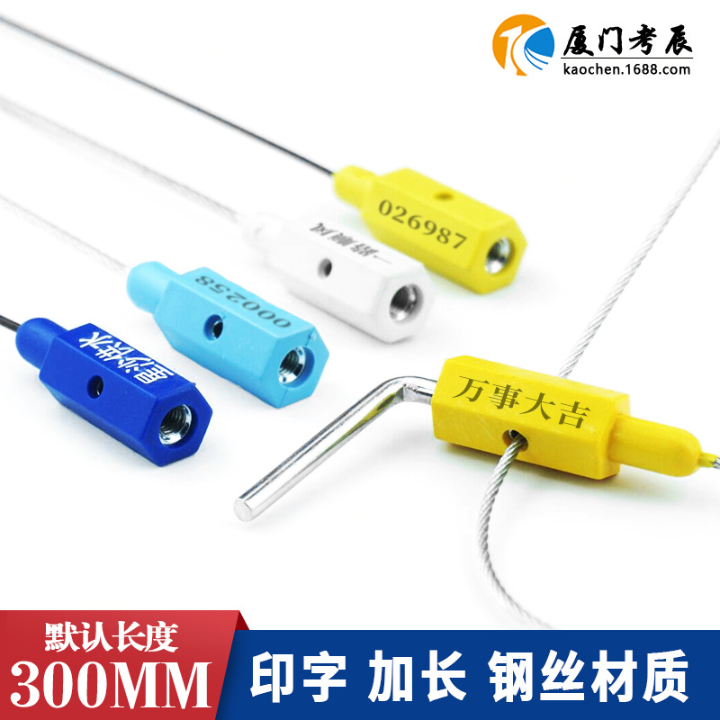 一次性钢丝封条绳锁扣摇把式油罐车集装箱防盗施封锁铁路物流签封