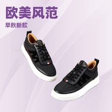 ߶ʿϵ\eЬ԰ٴһ_ņЬp|zlݵЬ