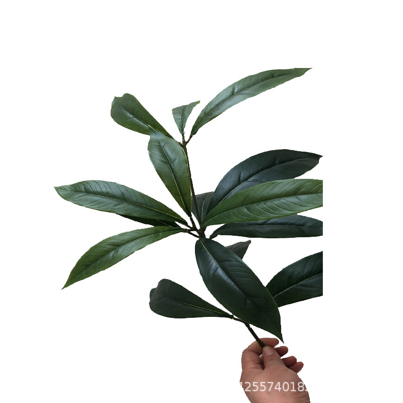 XRB-264 楠木单枝 (4).jpg