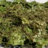 10,000 1-year-old silkworms (1 pound of mulberry leaves will be given)