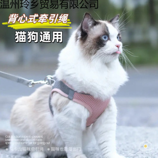 ؈�䠿����ʽ���KС؈�䱳��؈�䠿���K���������K����������ż�K