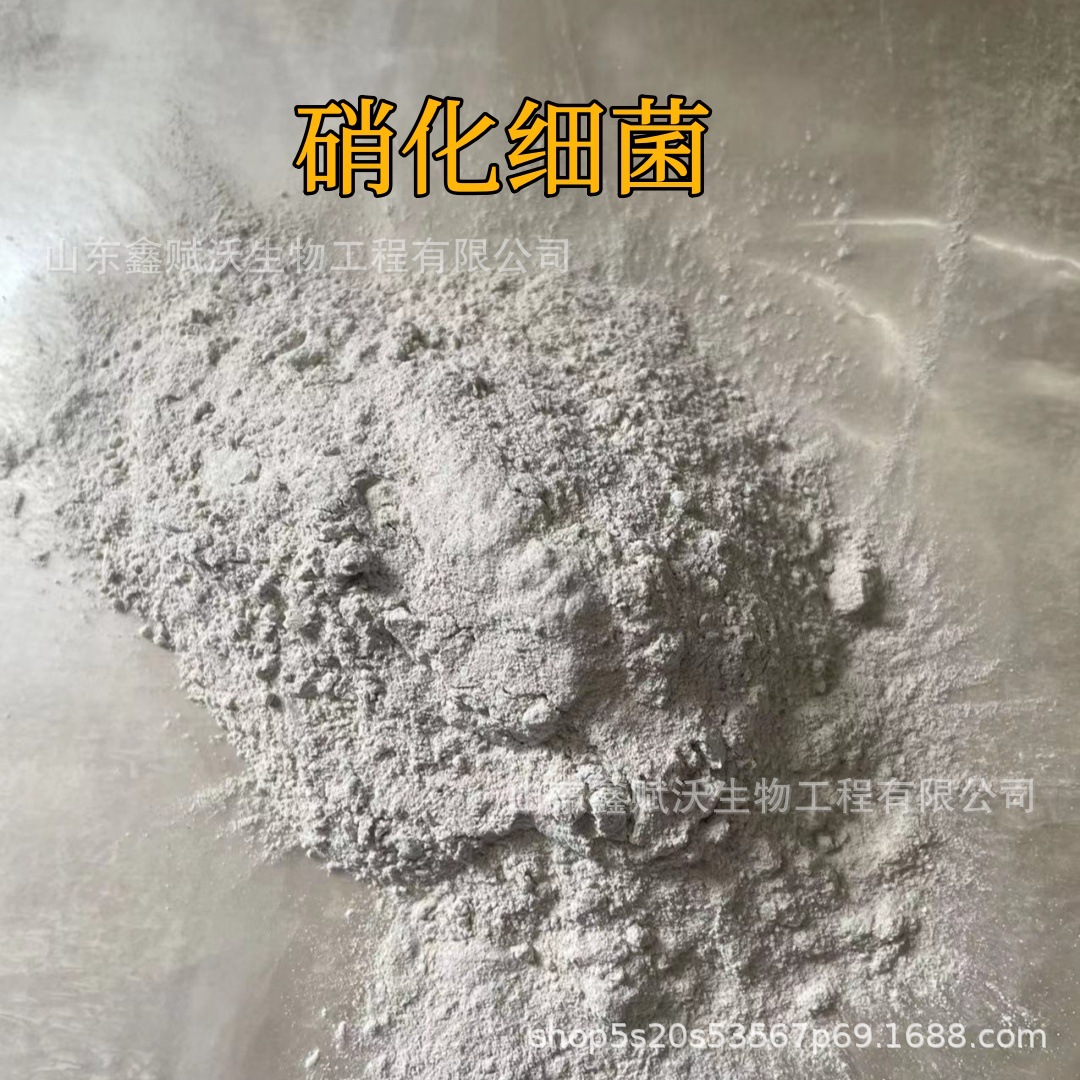 硝化细菌好氧菌 降亚硝酸盐氨氮COD净水污水处理水产养殖硝化细菌