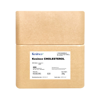 ���d Kesince CHOLESTEROL đ�̴� đ�޴� �黯�� 10g��ӆԭ��