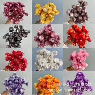 ����ʯ����ѩɏ�� ��ѩɏ  �滨��c�b����l