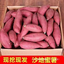 超甜新鲜沙地红薯龙九蜜薯板栗薯西瓜红番薯地瓜红心黄心软糯香甜