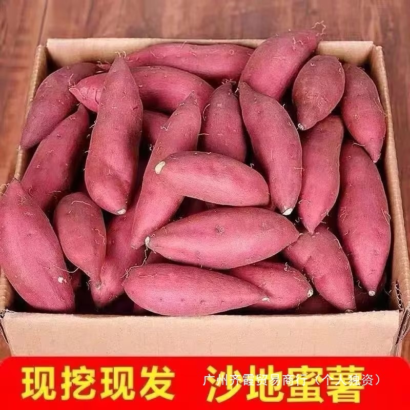 超甜新鲜沙地红薯龙九蜜薯板栗薯西瓜红番薯地瓜红心黄心软糯香甜