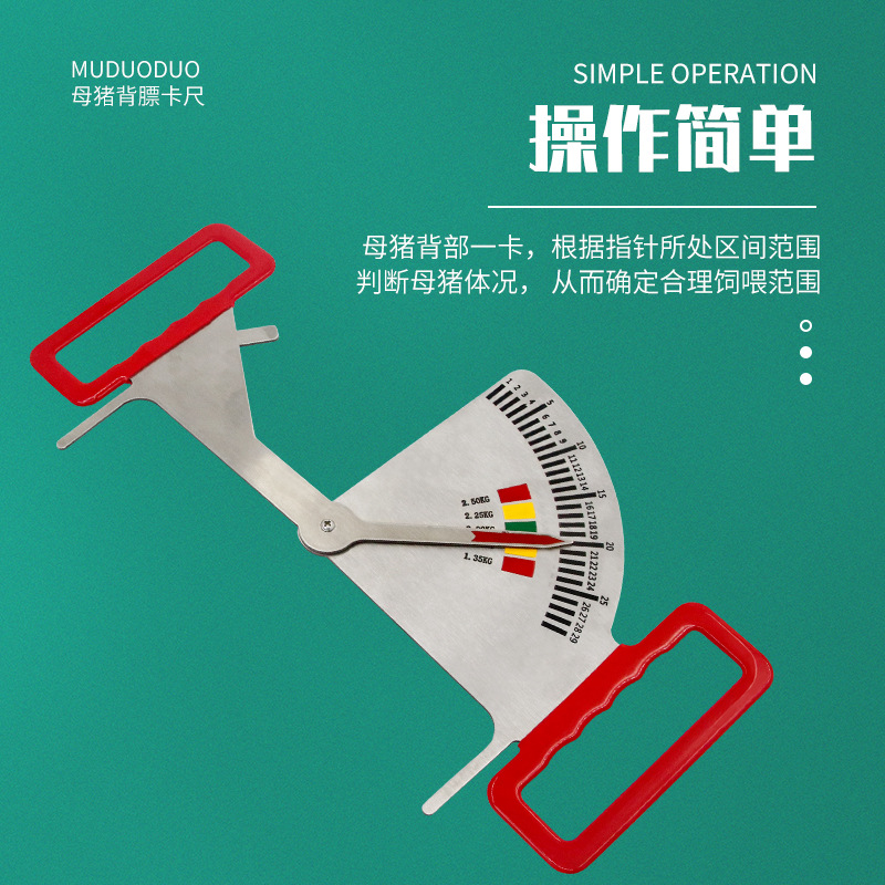 Calibrador de alimentación de acero inoxidable para cerdos guía de medición de estado de cerdas embarazadas calibrador de alimentación de cerdos