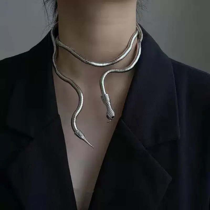 Unique Personality Twisted Snake Necklace INS Minimalist Style Niche Design Sense Hot Girl Dark Choker For Women And Men_voghion.com