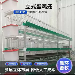 养鸡笼四层两门镀锌小鸡笼养鸡场设备育雏鸡笼子4层立式蛋鸡笼