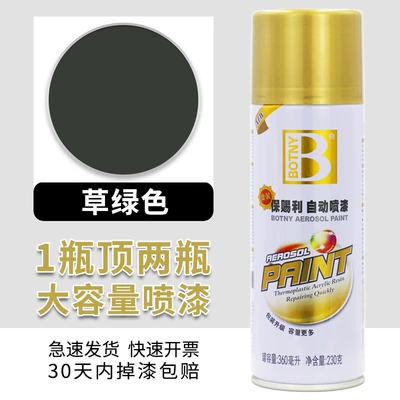 Avtomobil boyası — Cans - baocili-12-grass-green-450ml