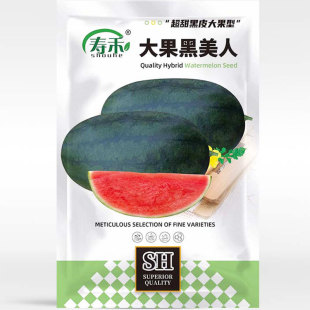 ���������ϷN�ӷN���������Ƥ�޽����Ϸ��Nֲ���������Ϲ�����