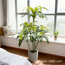 ��������F���U���Ա��W�L�d�Ә�٘����~�b�չ�d�ٻ�ˇ���