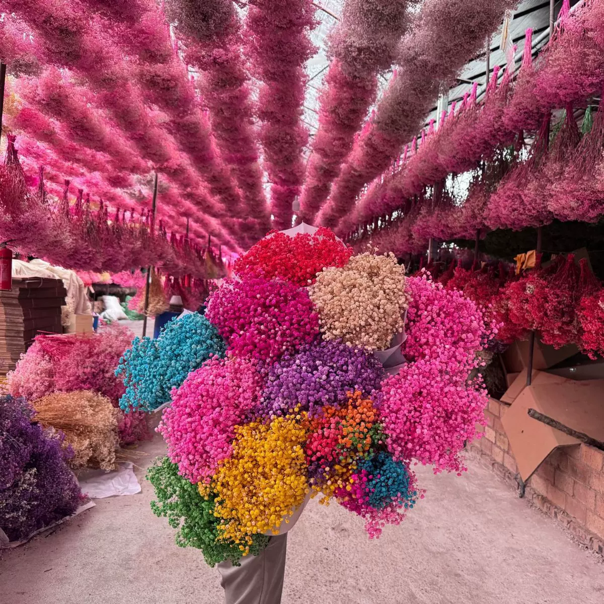 满天星干花手工diy花束材料批发家居装饰摆件永生花满天星批发