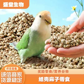 鸟食