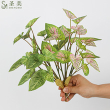 3DС5Gֲ~~~ֲֲ^~Gֲ