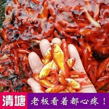 �ݽ��~���~�\���~���^�p�~��ˮ�~��ˮ�~С���ͻ���wС���~�t�ݽ�