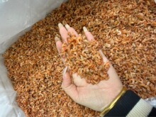 �r�ױ������� ���� ���h�t�r�� �r�� �r�ɺ�ζˮ������ʳ